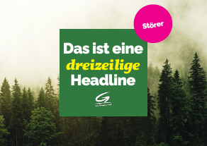 Querformat · Quadrat im Bild